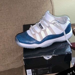Jordan 11 snake skins
